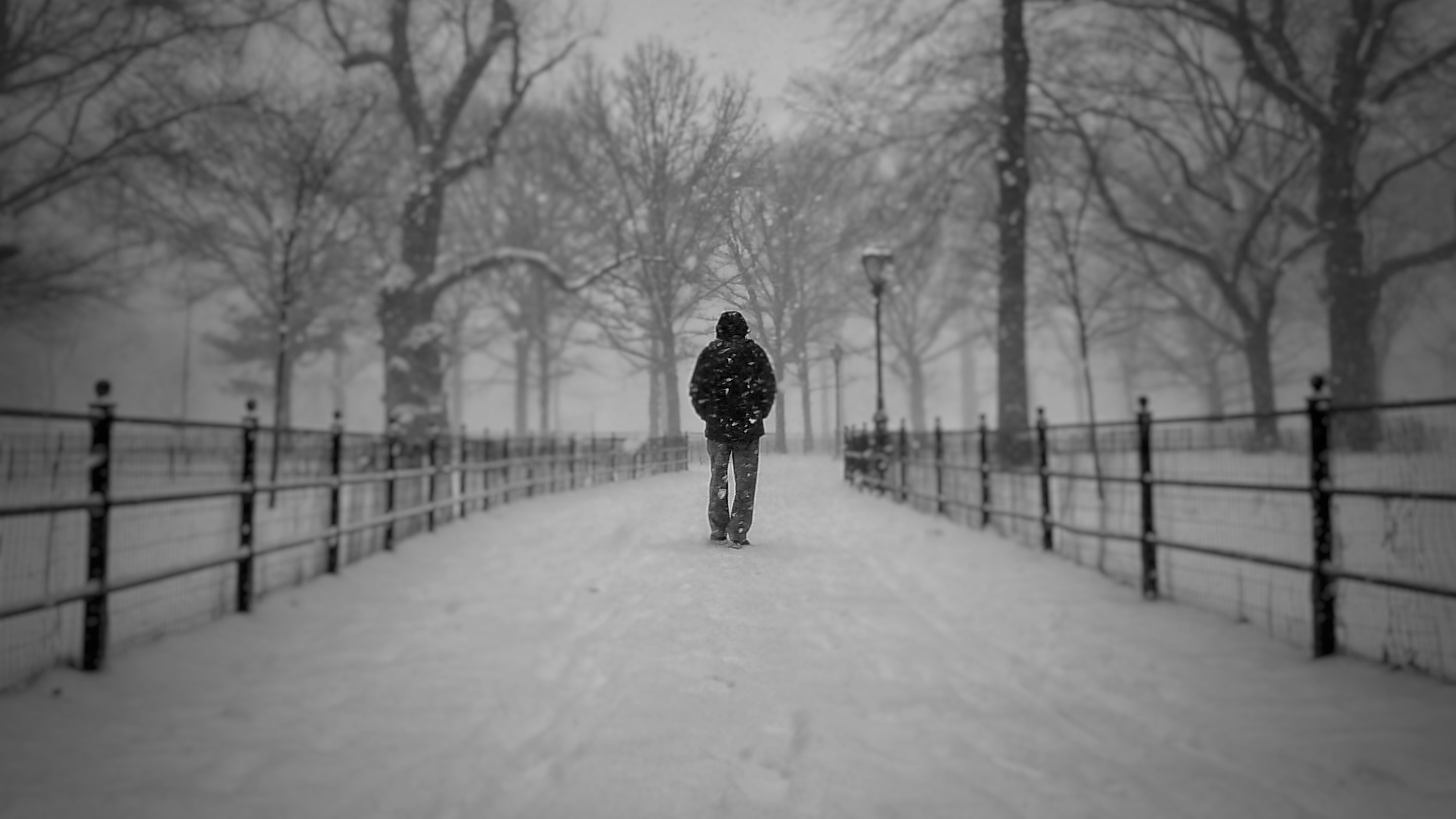 Central Park, snow, New York