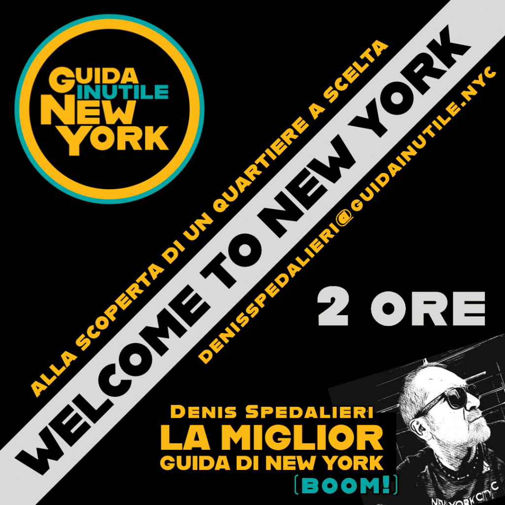 Visitare New York con i tour personalizzati di Denis Spedalieri, la Guida Inutile New York